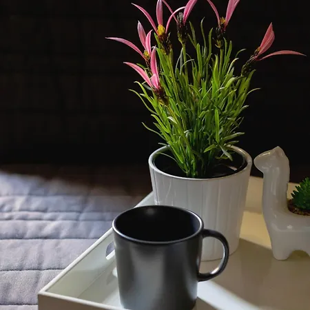 Apartament Z Balkonem Blisko Starego Miasta By Renters クラクフ